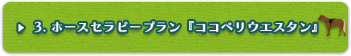 3ホースセラピー 『ココペリウエスタン』