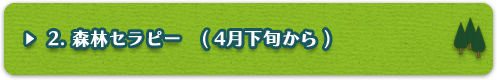 2.森林セラピー (4月下旬から)