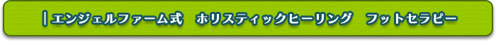 エンジェルファーム式　ホリスティックヒーリング　フットセラピー　