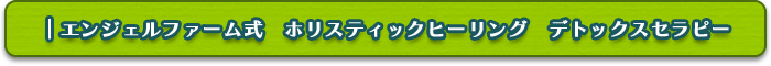 エンジェルファーム式　ホリスティックヒーリング　デトックスセラピー　