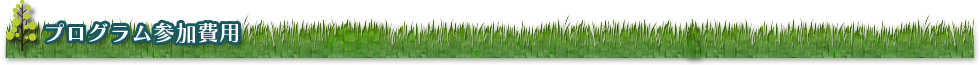 プログラム参加費用
