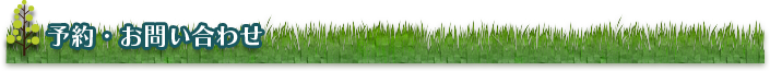 予約・お問い合わせ