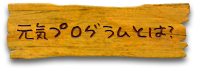 元気プログラムとは？